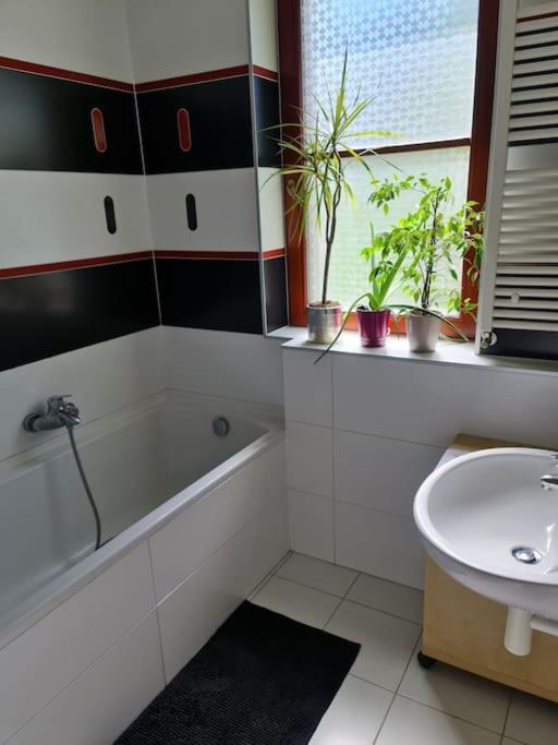 Comfortable Apartment! Prag Dış mekan fotoğraf